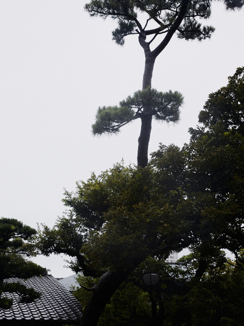 032c - © Thomas Lohr Studio