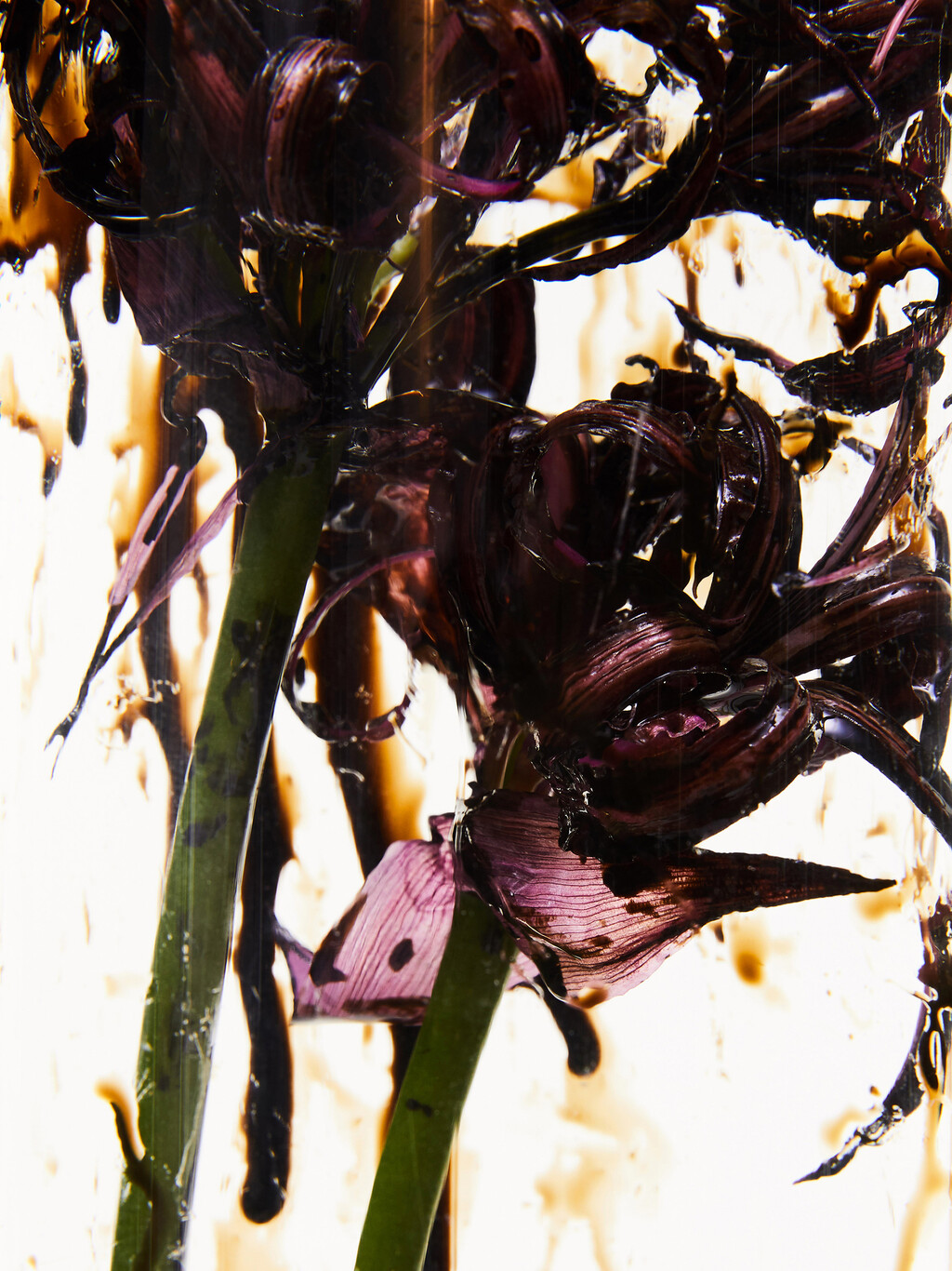 032c - © Thomas Lohr Studio