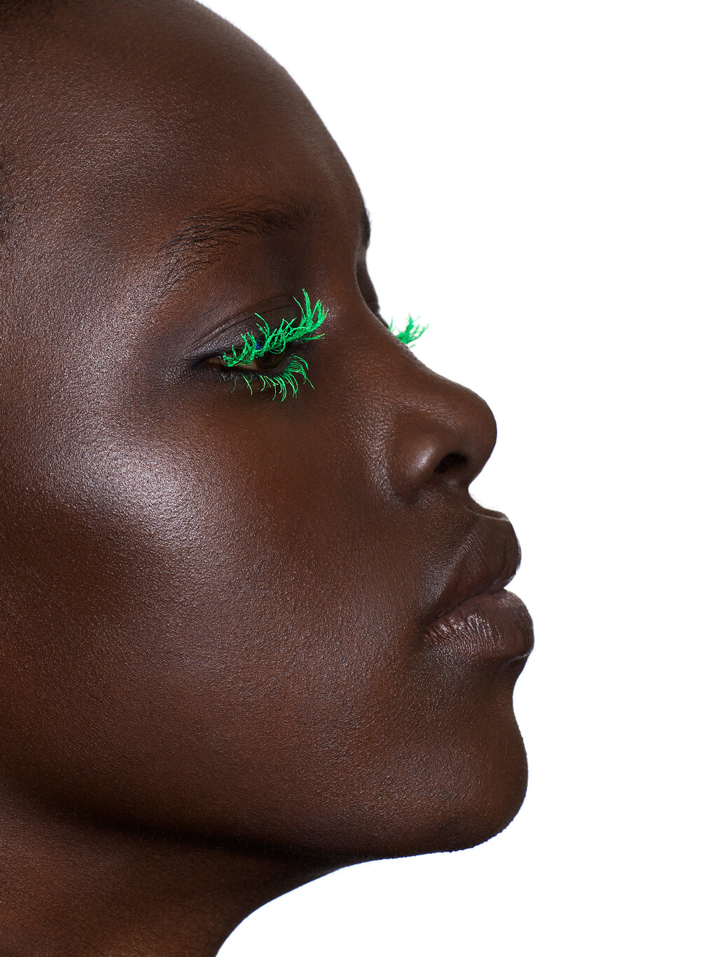 Beauty - © Thomas Lohr Studio