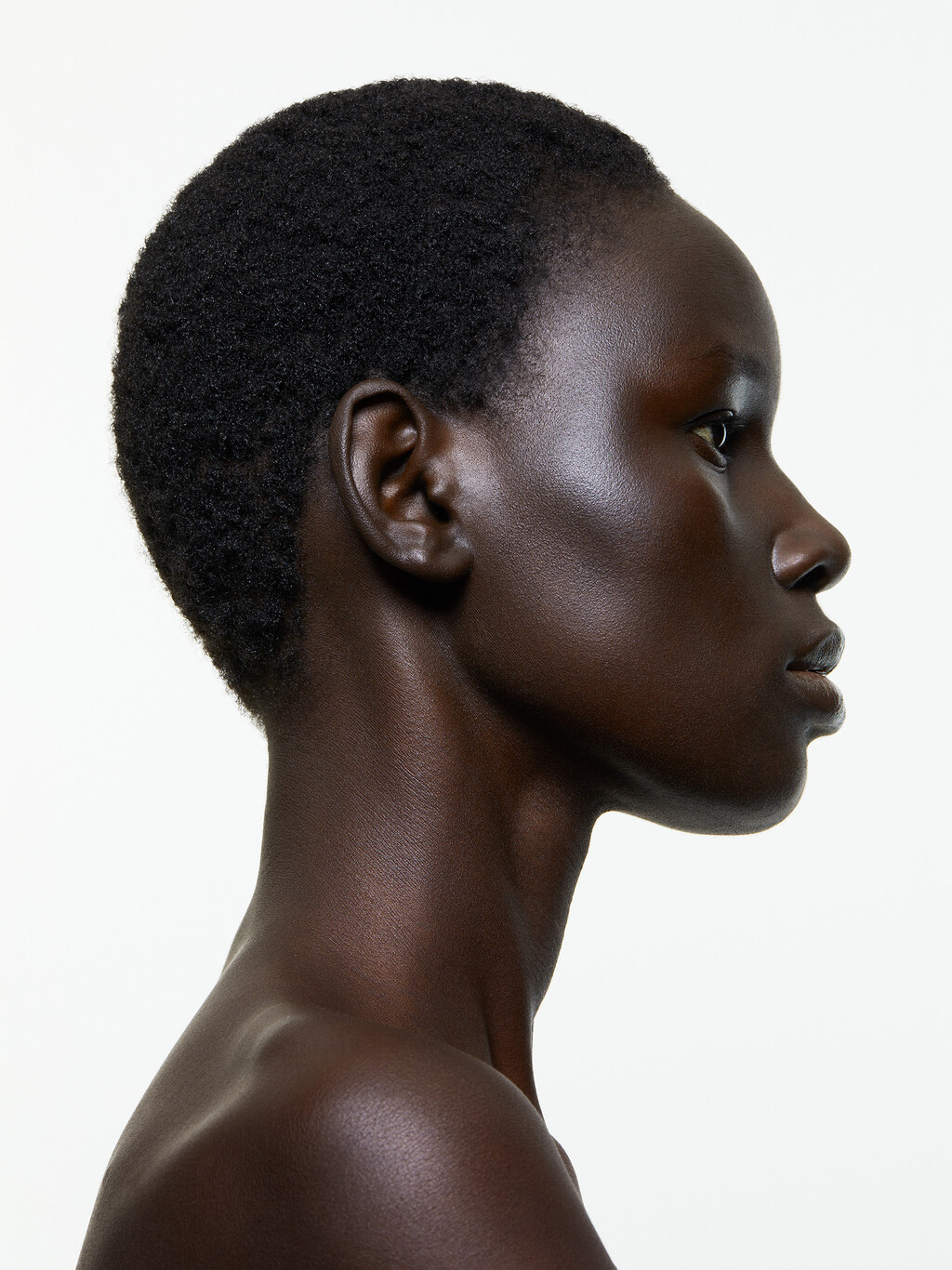 Beauty - © Thomas Lohr Studio