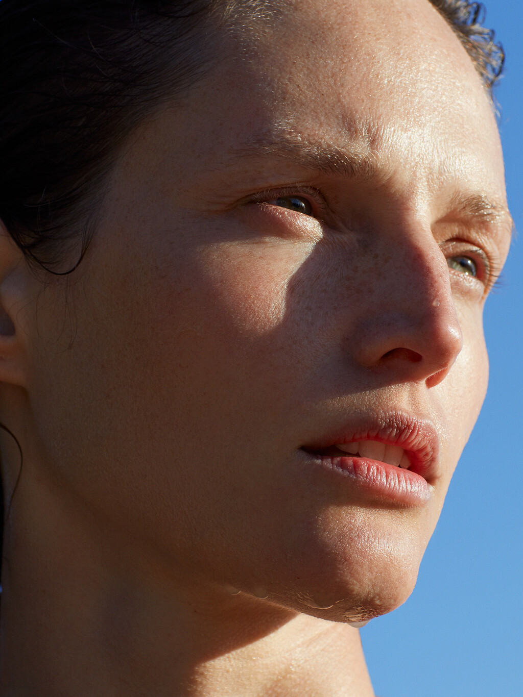 Beauty - © Thomas Lohr Studio