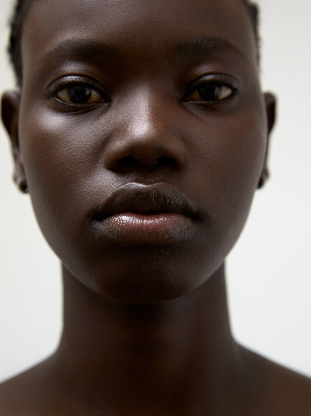 Beauty - © Thomas Lohr Studio