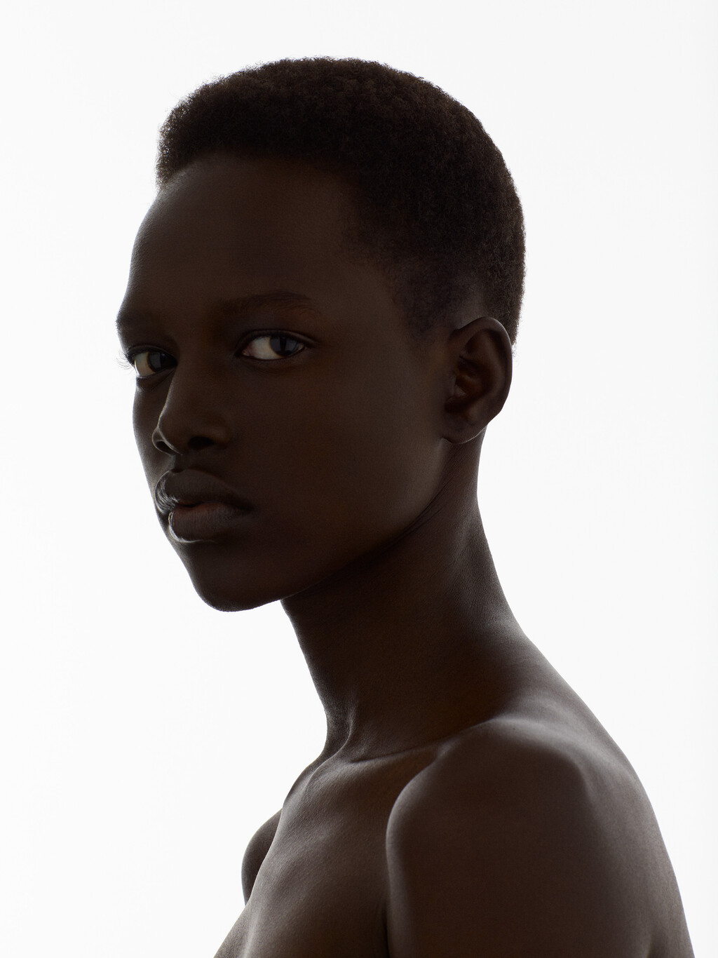 Beauty - © Thomas Lohr Studio
