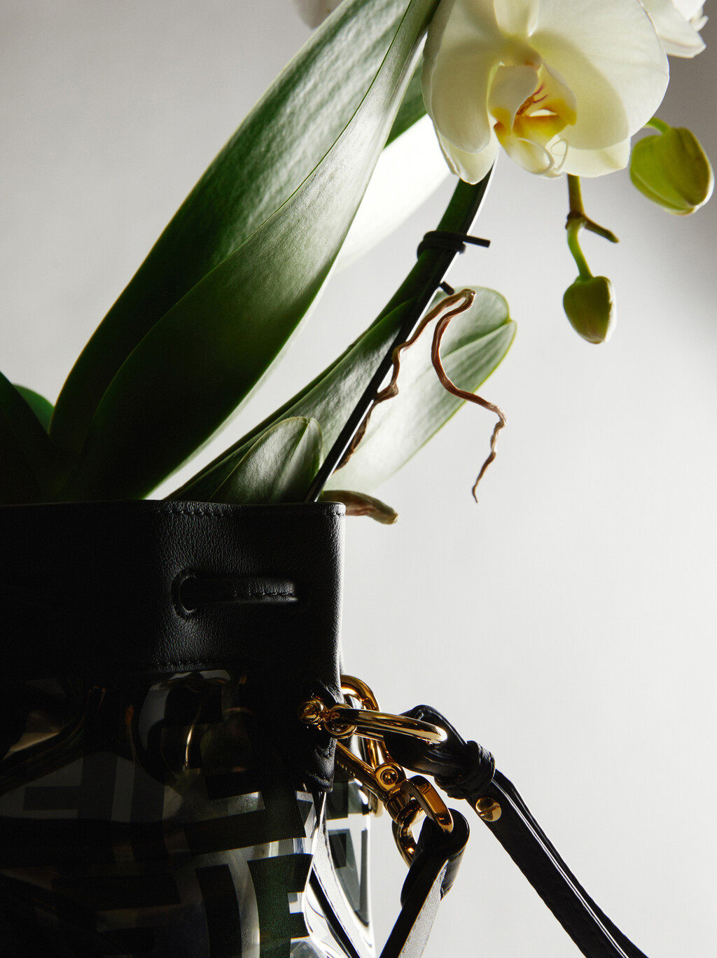 Document Journal - © Thomas Lohr Studio