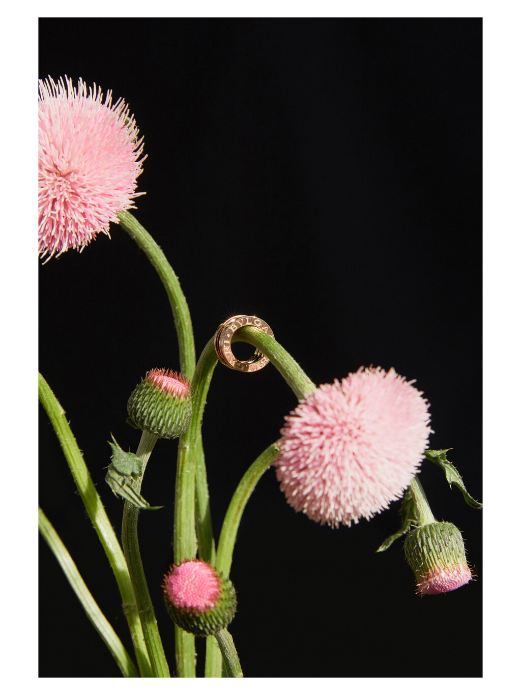 Document Journal - © Thomas Lohr Studio