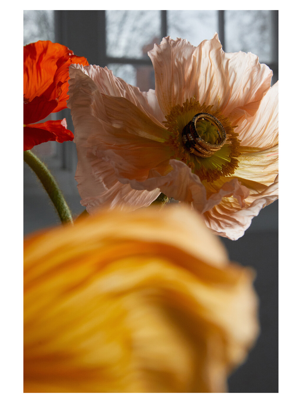 Document Journal - © Thomas Lohr Studio