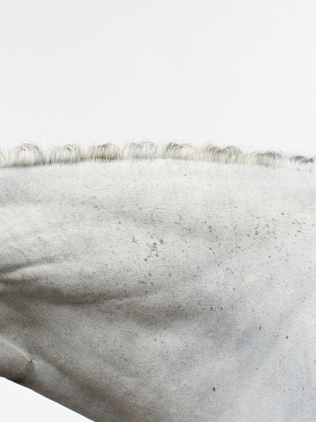 Hermès - © Thomas Lohr Studio