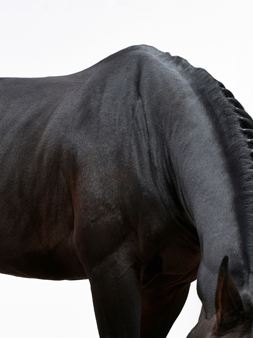 Hermès - © Thomas Lohr Studio