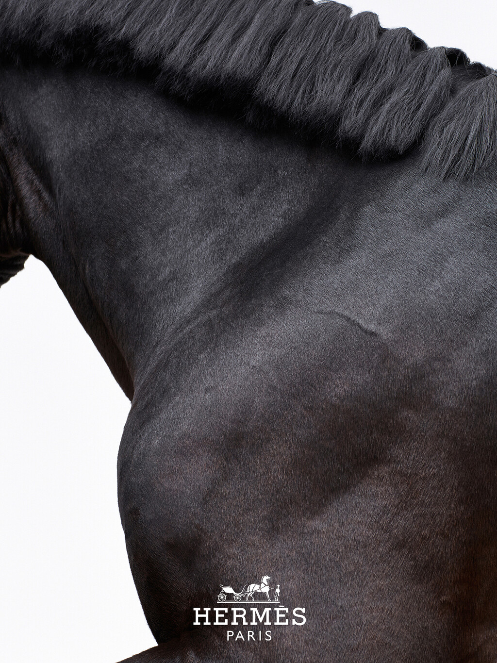Hermès - © Thomas Lohr Studio