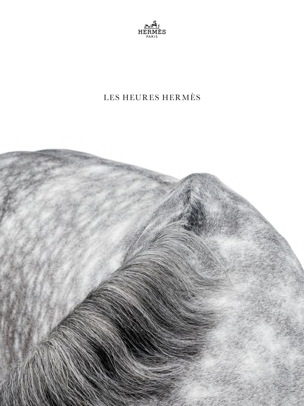 Hermès - © Thomas Lohr Studio