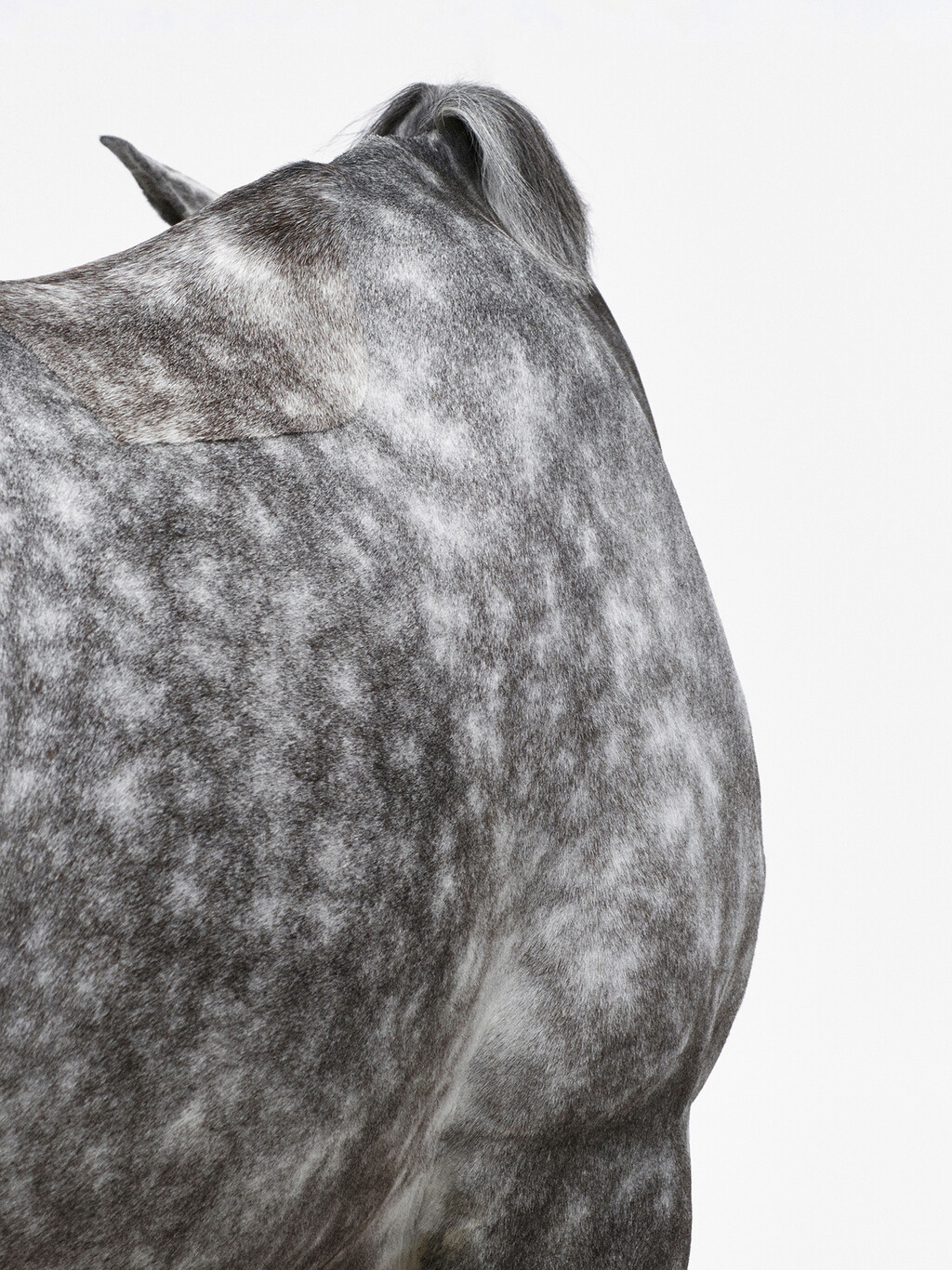 Hermès - © Thomas Lohr Studio