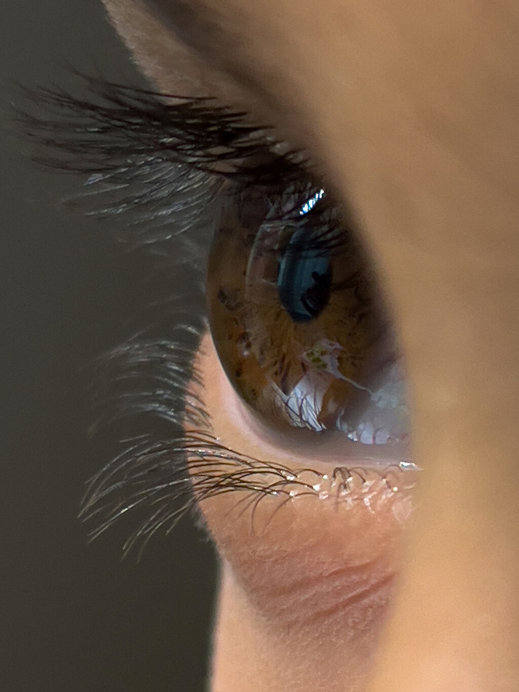 Many Of Them - © Thomas Lohr Studio