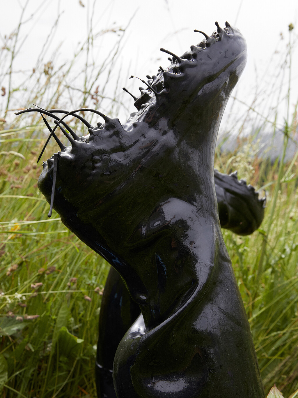 Many Of Them - © Thomas Lohr Studio