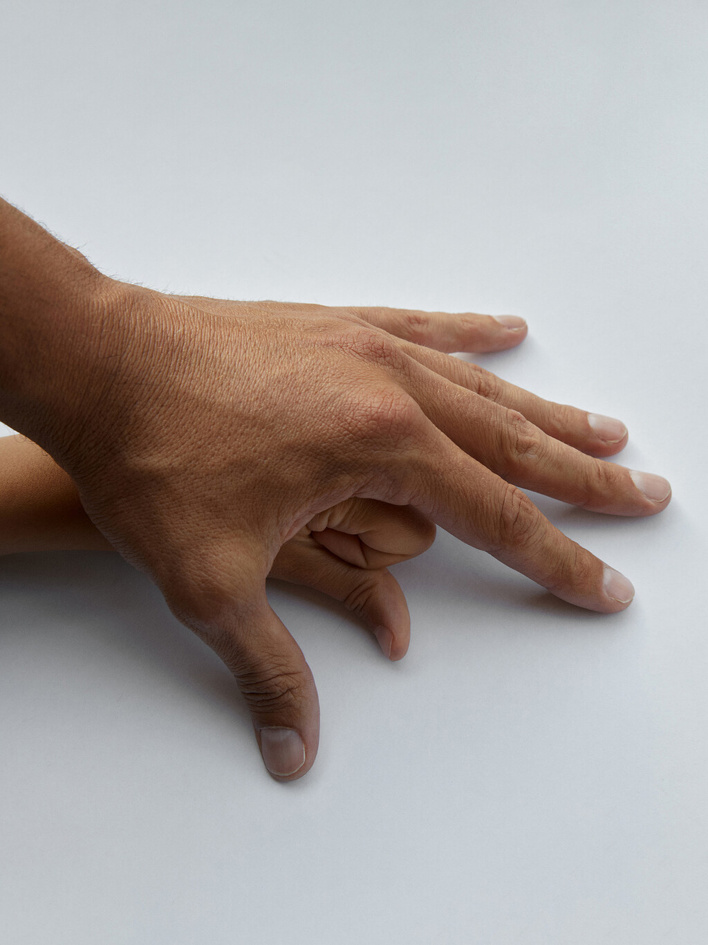 Many Of Them - © Thomas Lohr Studio