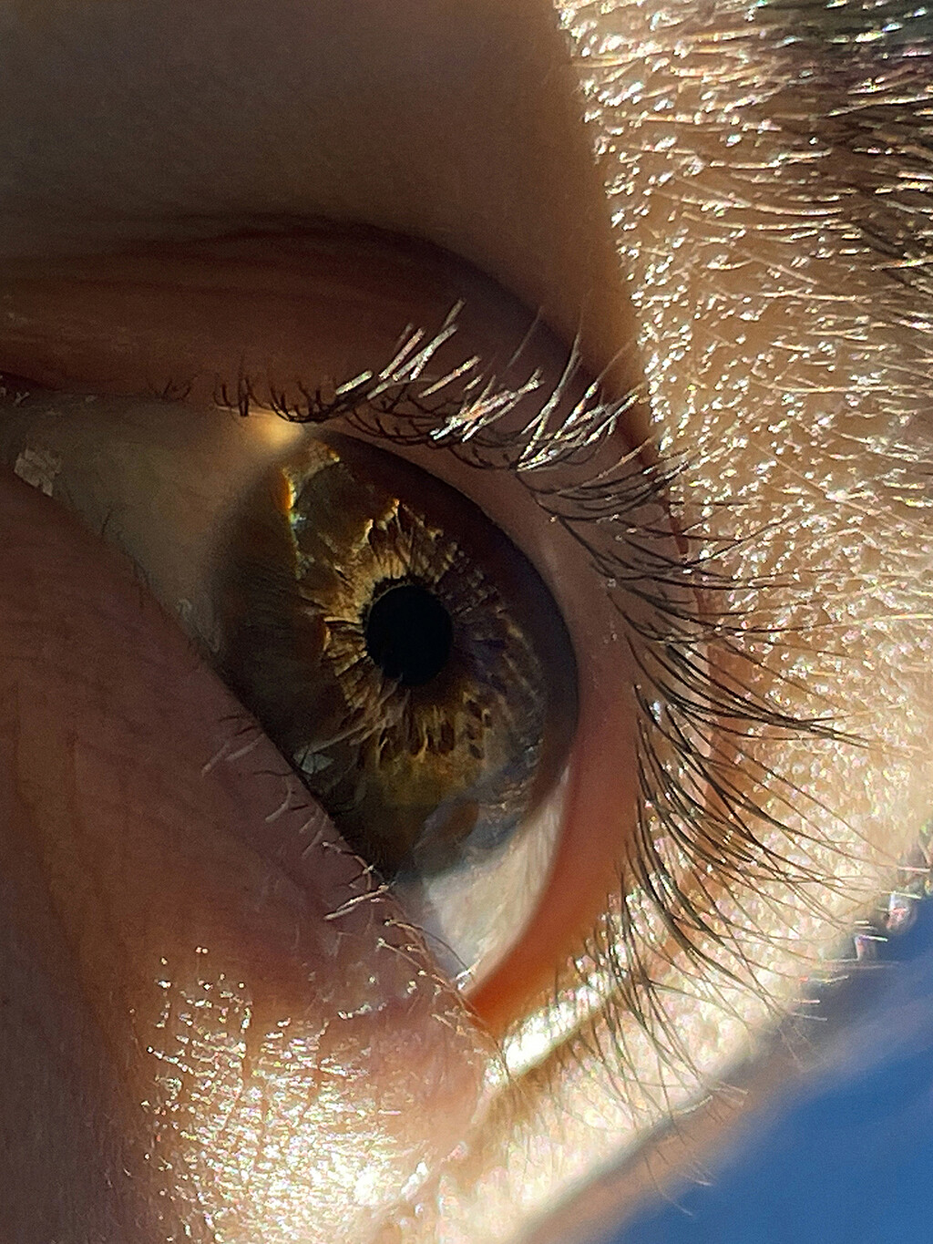 Many Of Them - © Thomas Lohr Studio