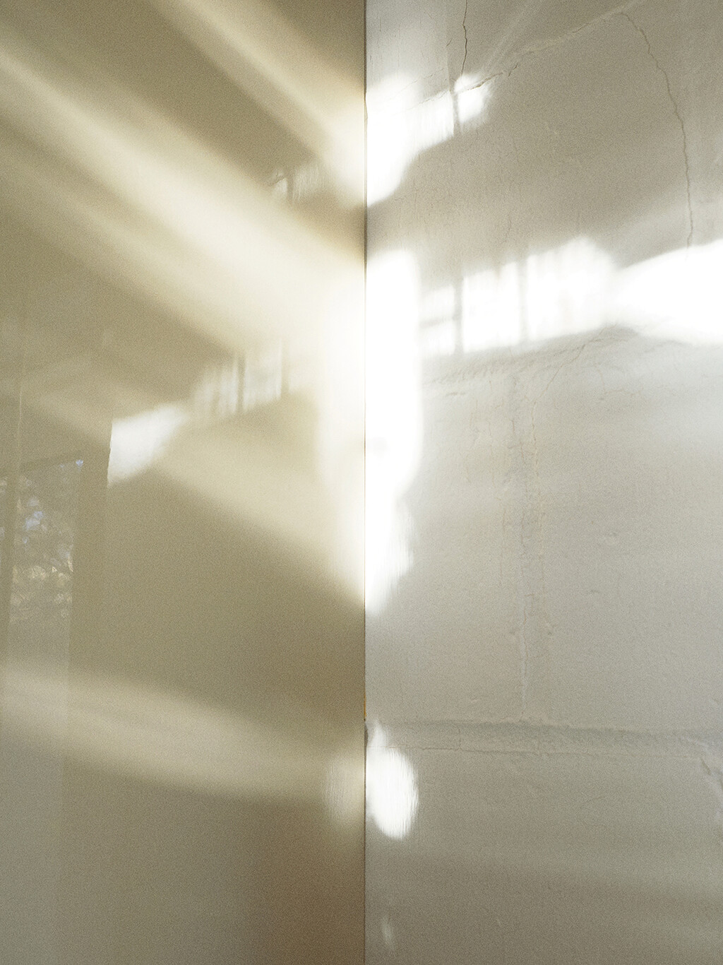 Many Of Them - © Thomas Lohr Studio