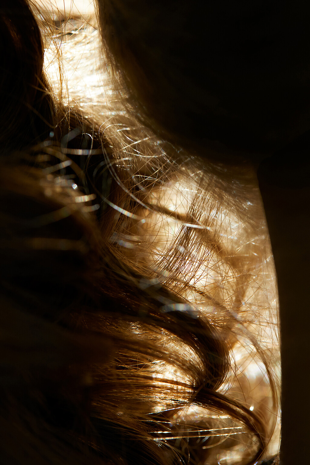 Many Of Them - © Thomas Lohr Studio