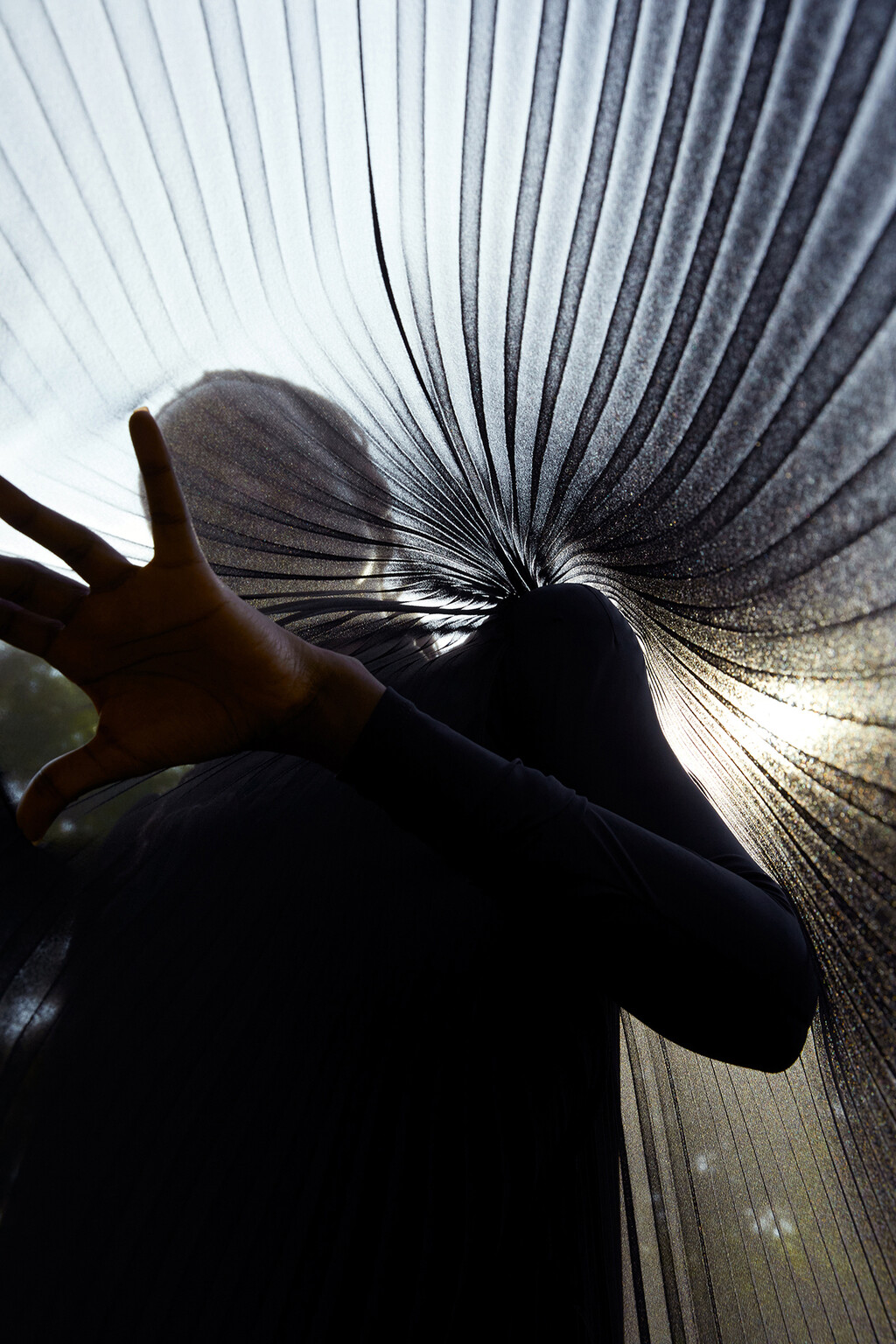 Many Of Them - © Thomas Lohr Studio