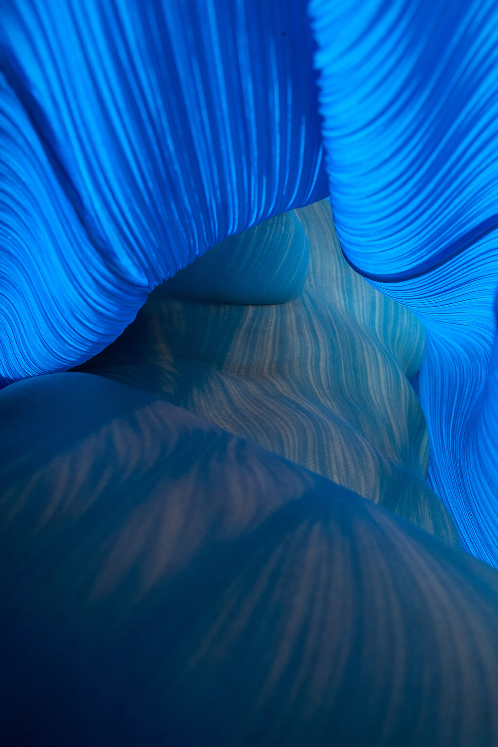 Many Of Them - © Thomas Lohr Studio