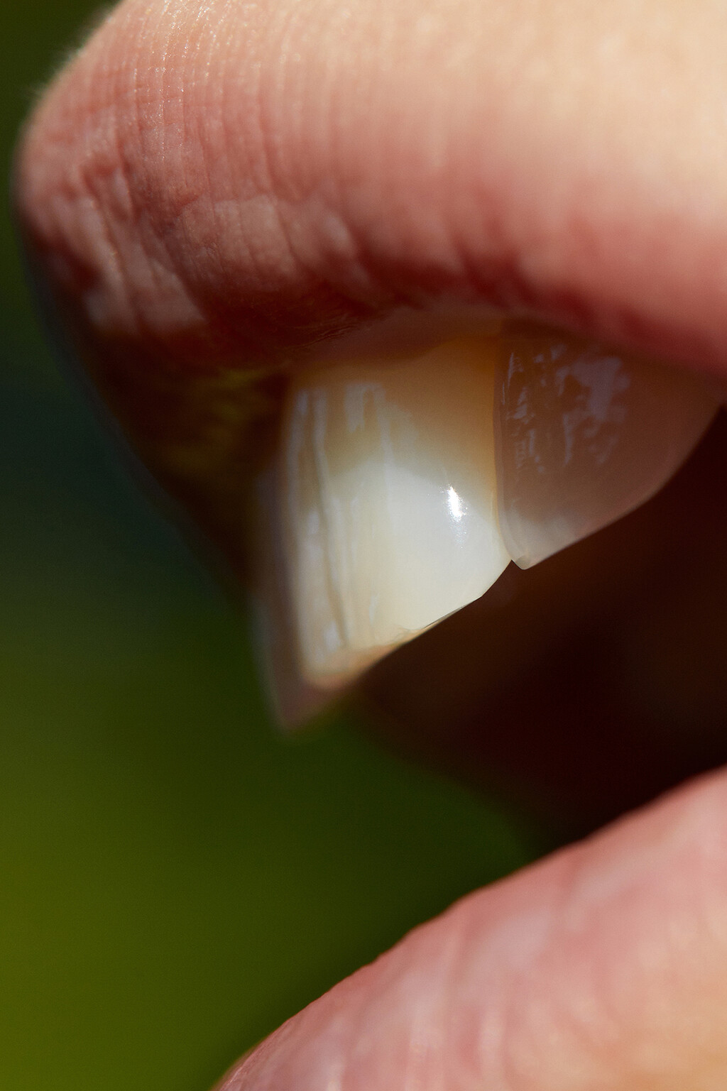 Many Of Them - © Thomas Lohr Studio