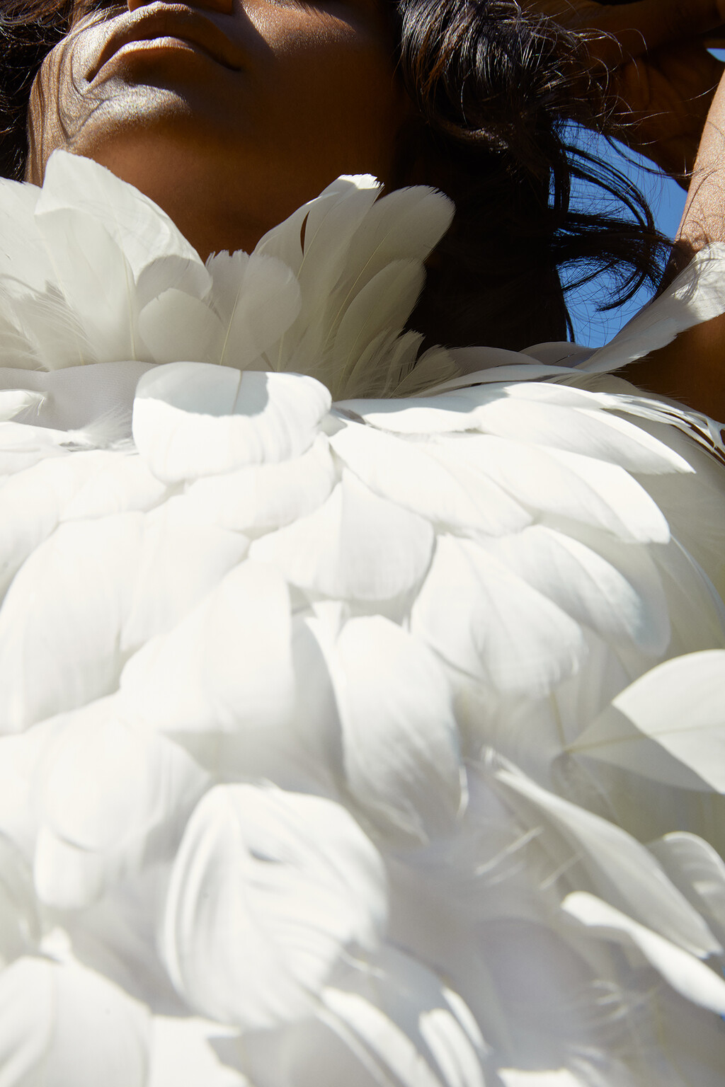 Many Of Them - © Thomas Lohr Studio