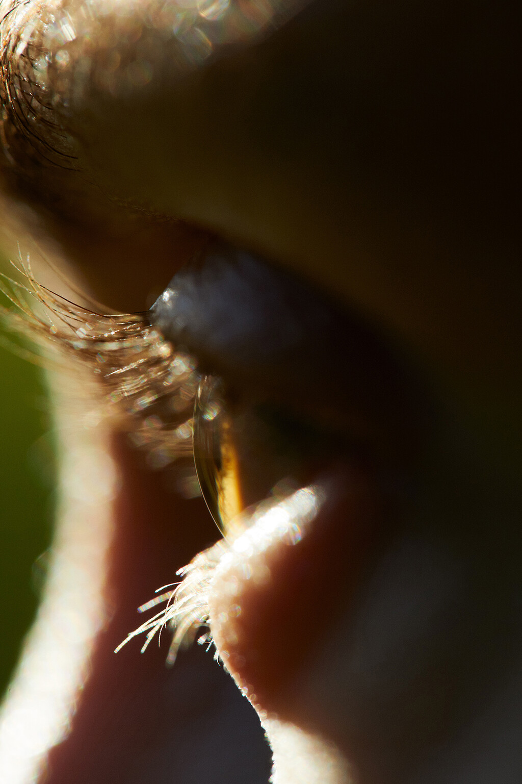 Many Of Them - © Thomas Lohr Studio