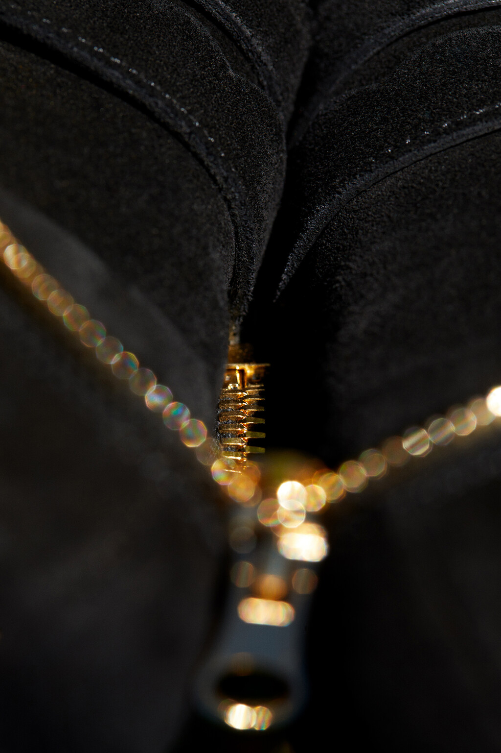 Many Of Them - © Thomas Lohr Studio