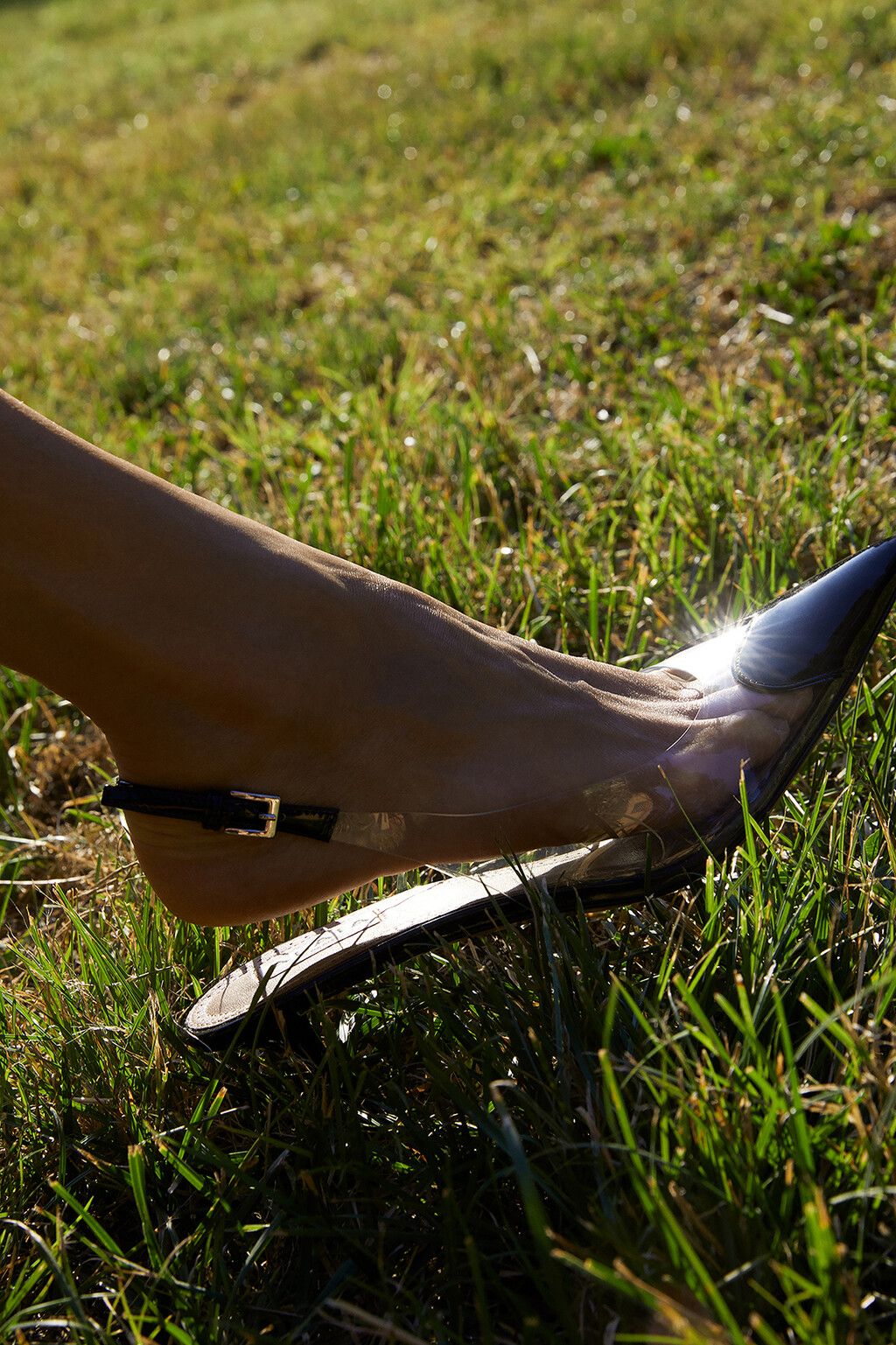 Many Of Them - © Thomas Lohr Studio