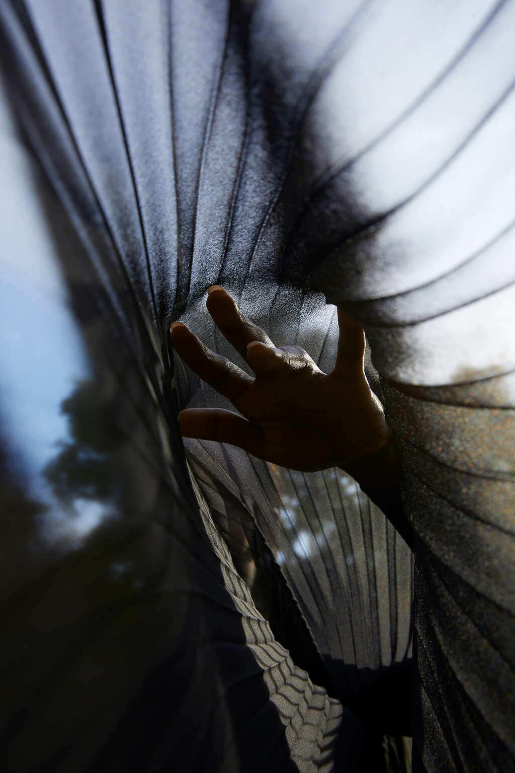 Many Of Them - © Thomas Lohr Studio