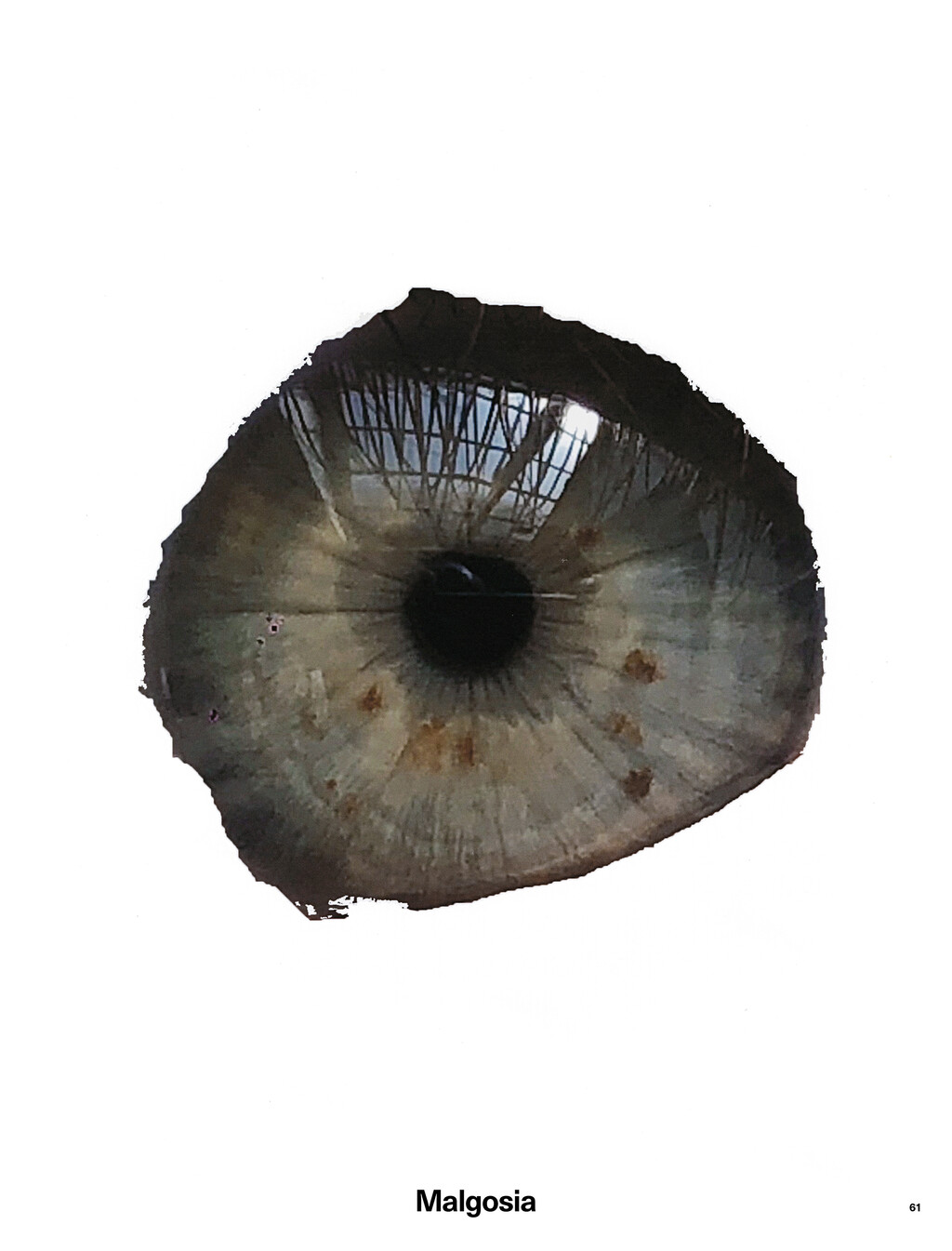 Middle Plane - © Thomas Lohr Studio