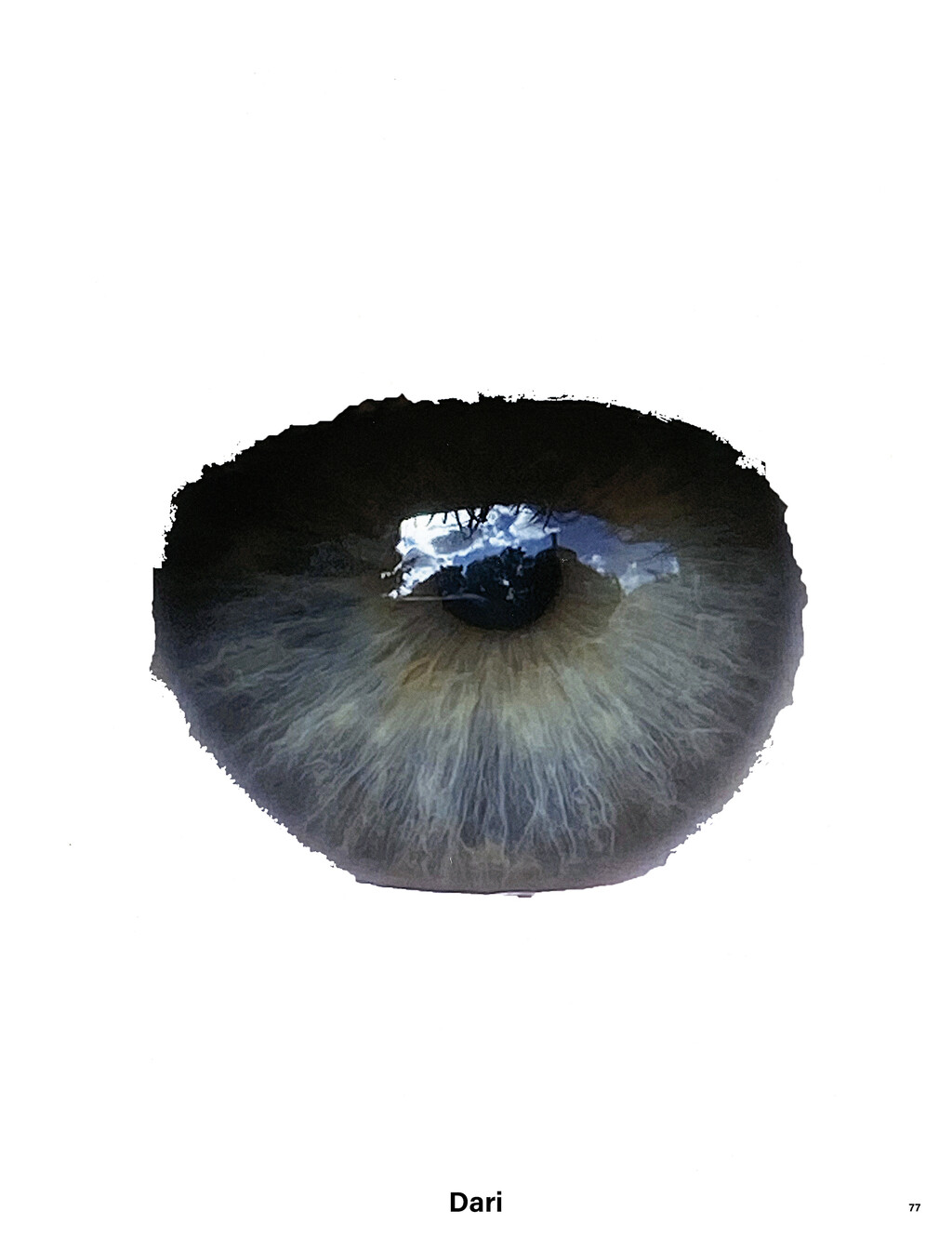 Middle Plane - © Thomas Lohr Studio