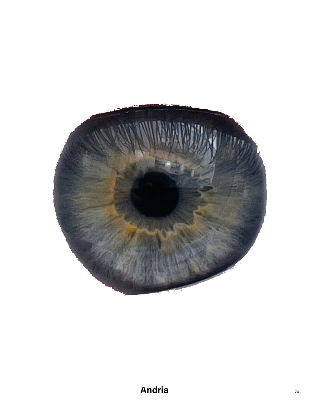 Middle Plane - © Thomas Lohr Studio