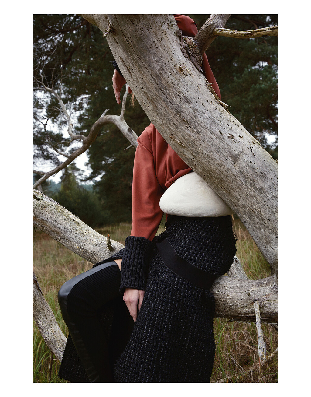 Re-Edition - © Thomas Lohr Studio