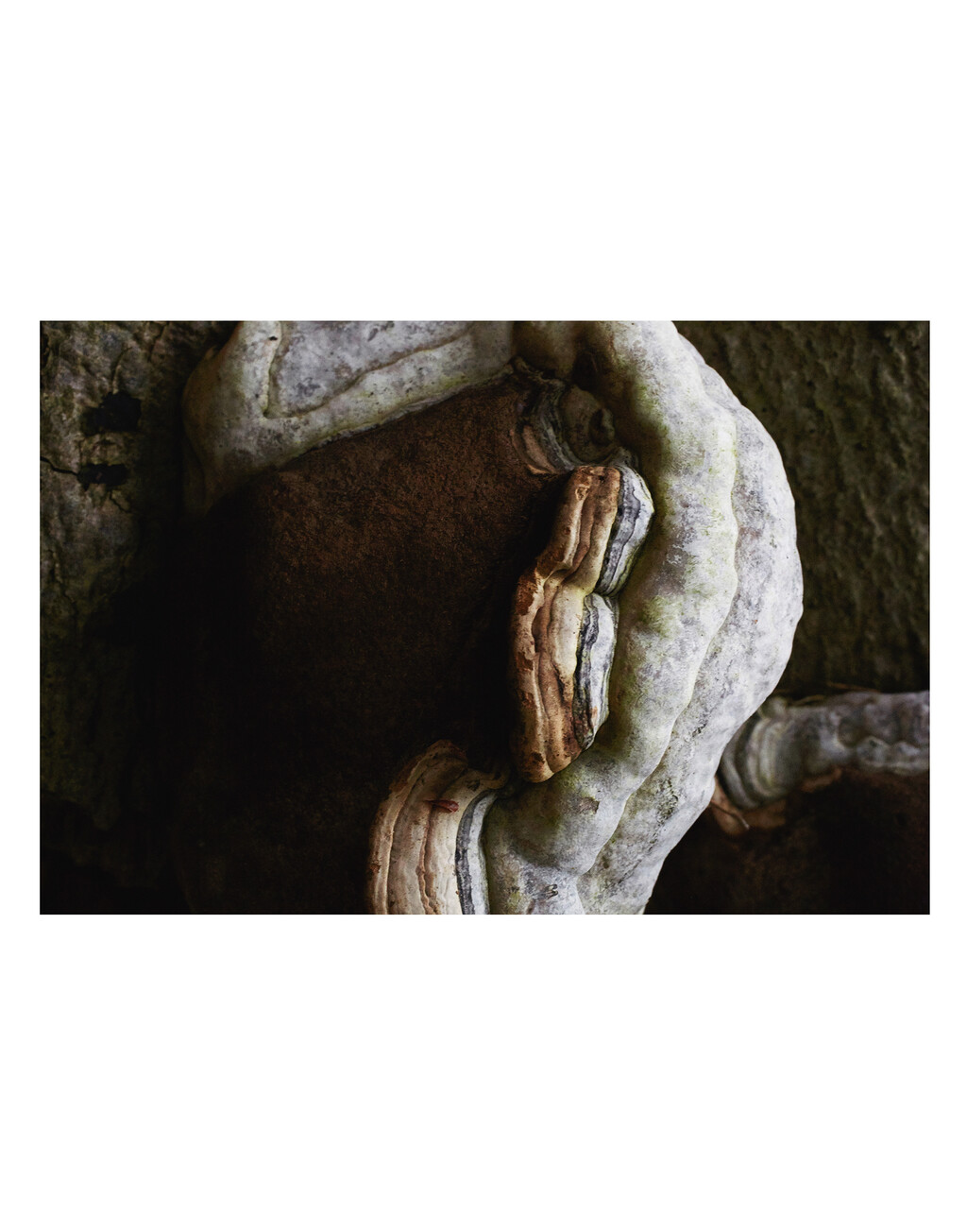 Re-Edition - © Thomas Lohr Studio