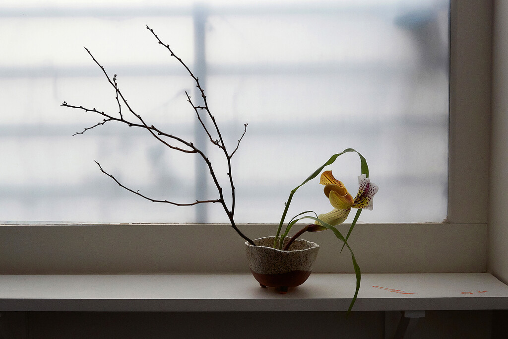 Revue - © Thomas Lohr Studio