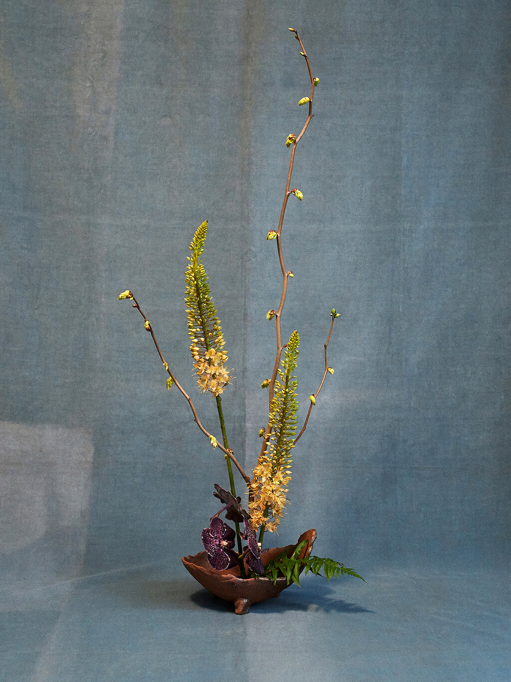 Revue - © Thomas Lohr Studio