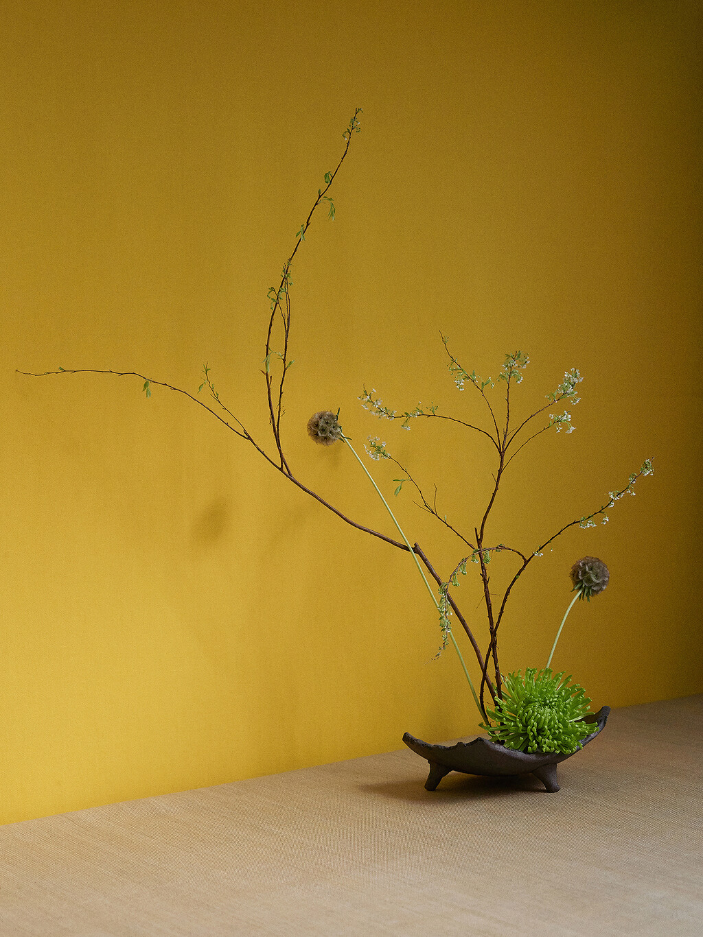 Revue - © Thomas Lohr Studio